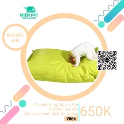 Ghế lười hình chữ nhật thư giãn giá rẻ màu xanh lá GLCN124